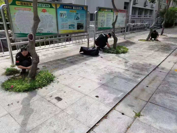 校園除草